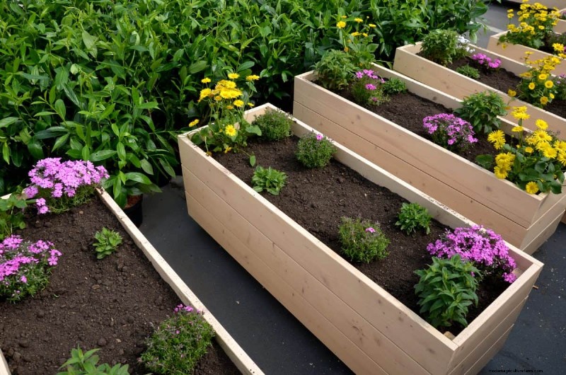 Garden Layout Mistakes: 25 Traps to Avoid for a Thriving Landscape