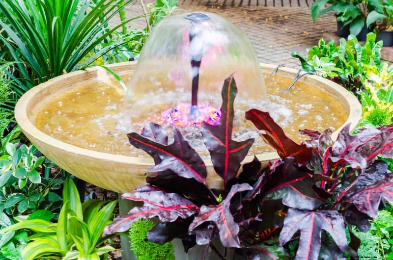 Garden Layout Mistakes: 25 Traps to Avoid for a Thriving Landscape