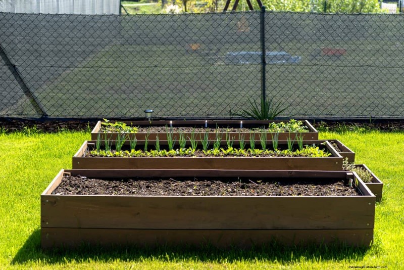 Garden Layout Mistakes: 25 Traps to Avoid for a Thriving Landscape