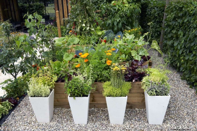 Garden Layout Mistakes: 25 Traps to Avoid for a Thriving Landscape