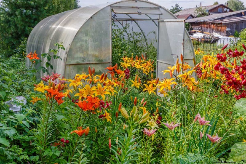 Garden Layout Mistakes: 25 Traps to Avoid for a Thriving Landscape