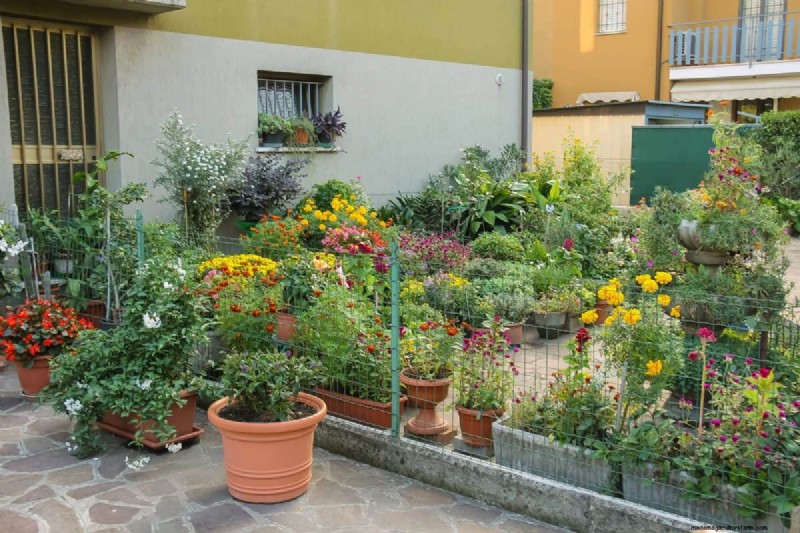 Garden Layout Mistakes: 25 Traps to Avoid for a Thriving Landscape