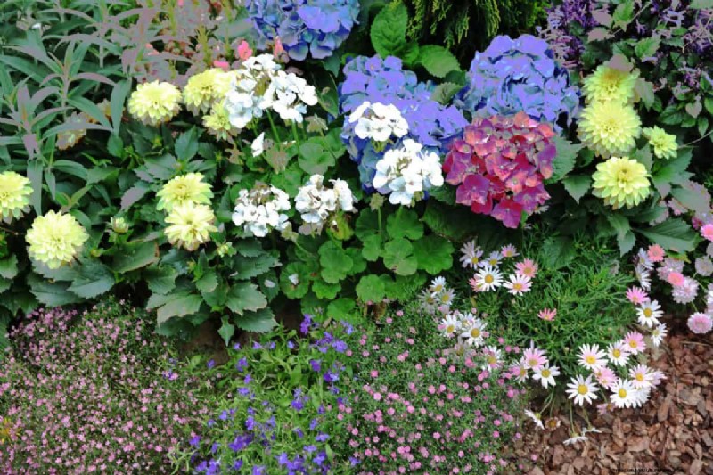 Living Mulch: The Essential Spring Garden Layer for Health & Productivity