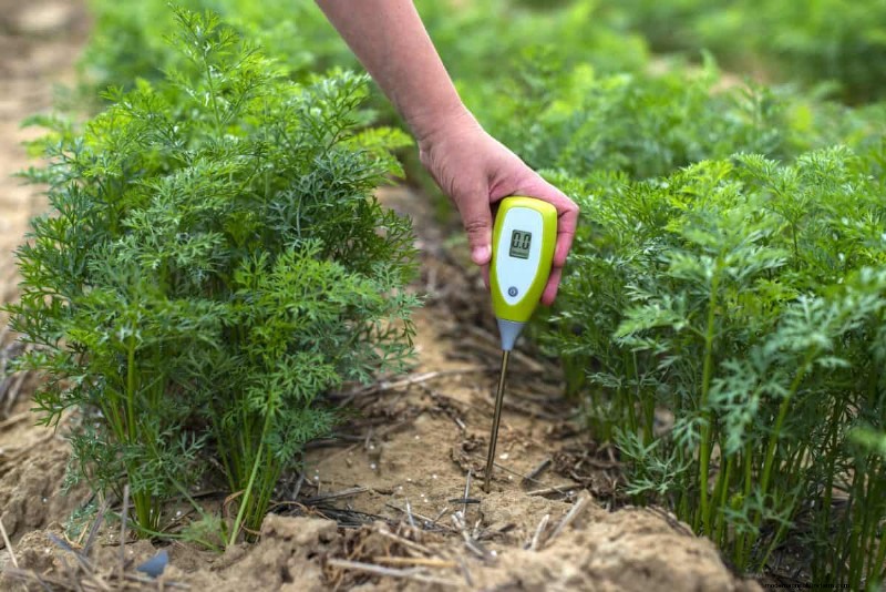 Why Are My Moisture-Loving Plants Losing Color? 25 Hidden Causes