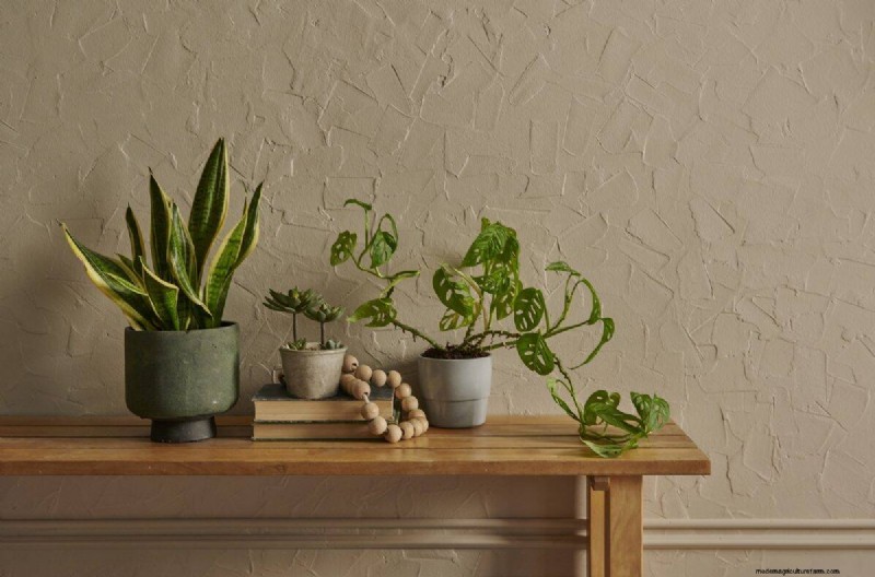 Why Are My Moisture-Loving Plants Losing Color? 25 Hidden Causes