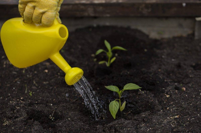 Nighttime Watering: Benefits & Drawbacks for Your Garden