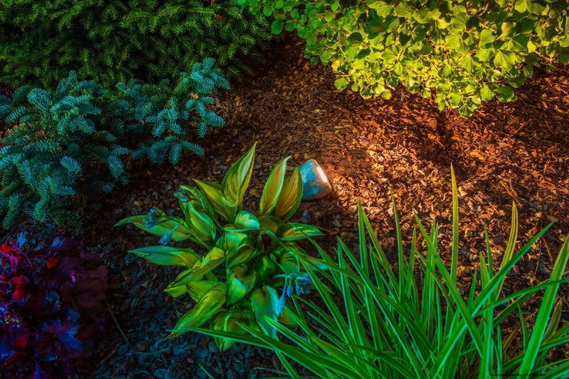 Nighttime Watering: Benefits & Drawbacks for Your Garden