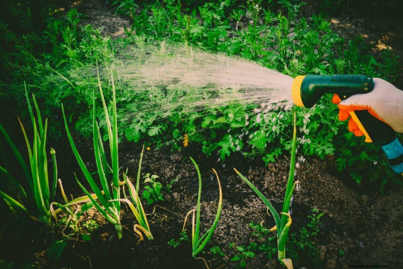 Nighttime Watering: Benefits & Drawbacks for Your Garden