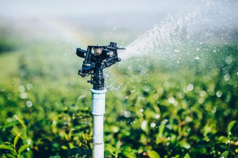 Nighttime Watering: Benefits & Drawbacks for Your Garden