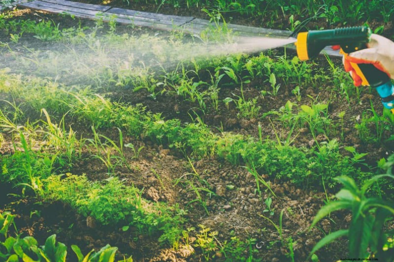 Nighttime Watering: Benefits & Drawbacks for Your Garden