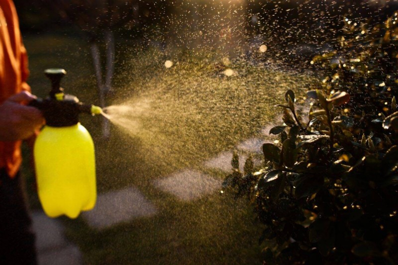 Nighttime Watering: Benefits & Drawbacks for Your Garden