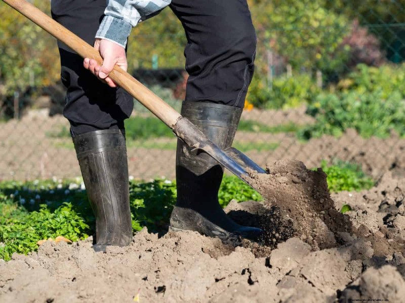 Diagnose Soil Problems: 25 Warning Signs & Eco-Friendly Fixes