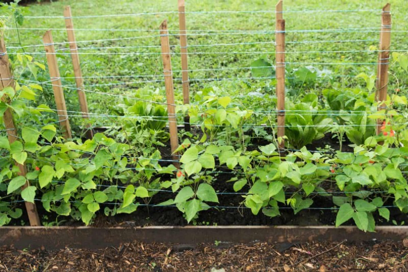Diagnose Soil Problems: 25 Warning Signs & Eco-Friendly Fixes