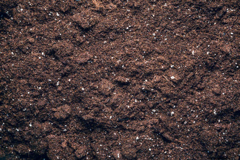 Diagnose Soil Problems: 25 Warning Signs & Eco-Friendly Fixes