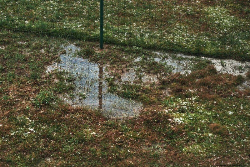 Diagnose Soil Problems: 25 Warning Signs & Eco-Friendly Fixes