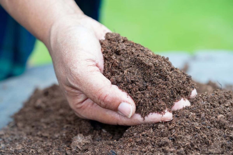 Diagnose Soil Problems: 25 Warning Signs & Eco-Friendly Fixes