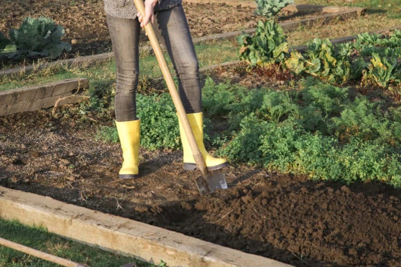 Diagnose Soil Problems: 25 Warning Signs & Eco-Friendly Fixes
