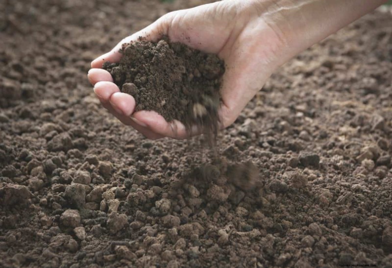Diagnose Soil Problems: 25 Warning Signs & Eco-Friendly Fixes