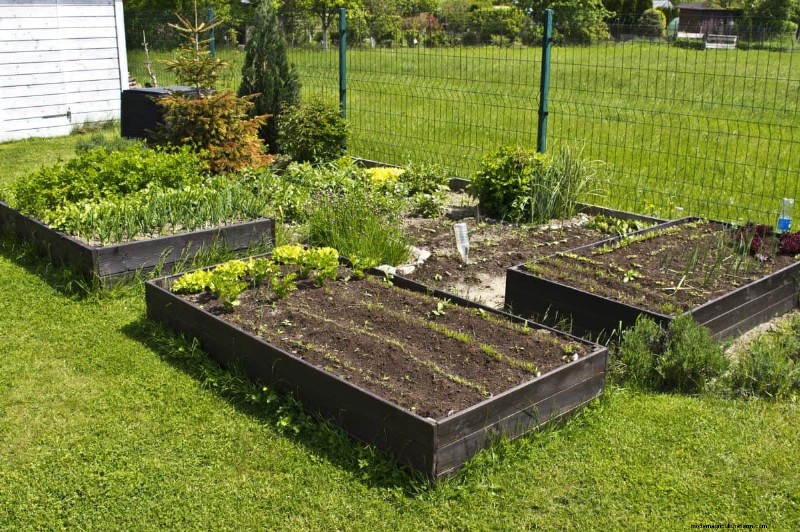 Diagnose Soil Problems: 25 Warning Signs & Eco-Friendly Fixes