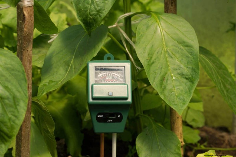 Diagnose Soil Problems: 25 Warning Signs & Eco-Friendly Fixes