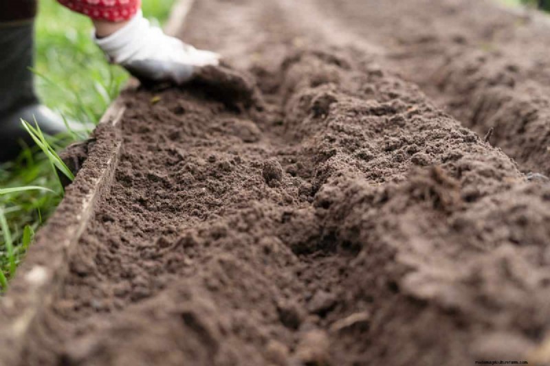 Diagnose Soil Problems: 25 Warning Signs & Eco-Friendly Fixes