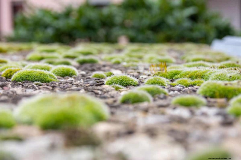 Diagnose Soil Problems: 25 Warning Signs & Eco-Friendly Fixes