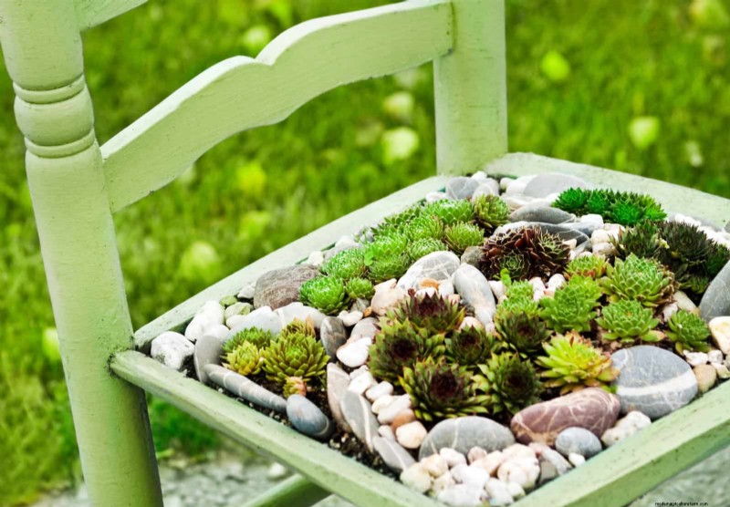 Container Plant Care: 22 Decorative Elements to Avoid