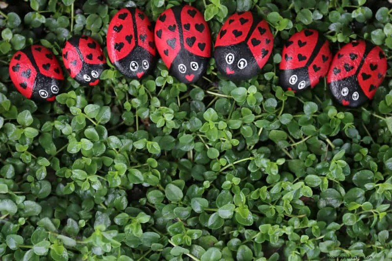 Container Plant Care: 22 Decorative Elements to Avoid