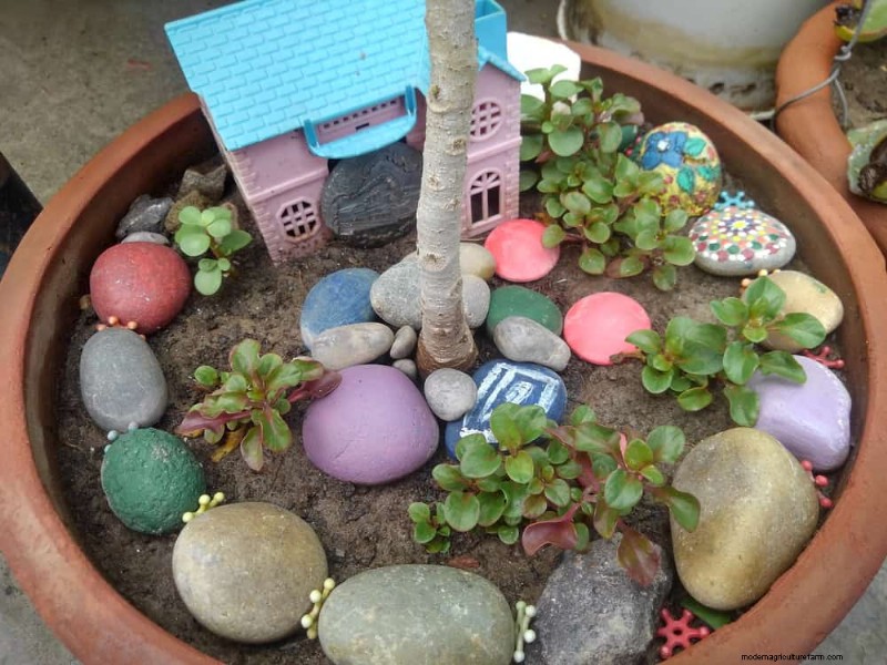 Container Plant Care: 22 Decorative Elements to Avoid