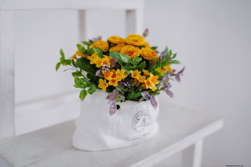 Container Plant Care: 22 Decorative Elements to Avoid