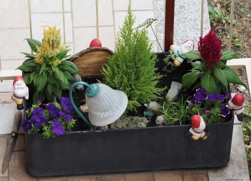 Container Plant Care: 22 Decorative Elements to Avoid