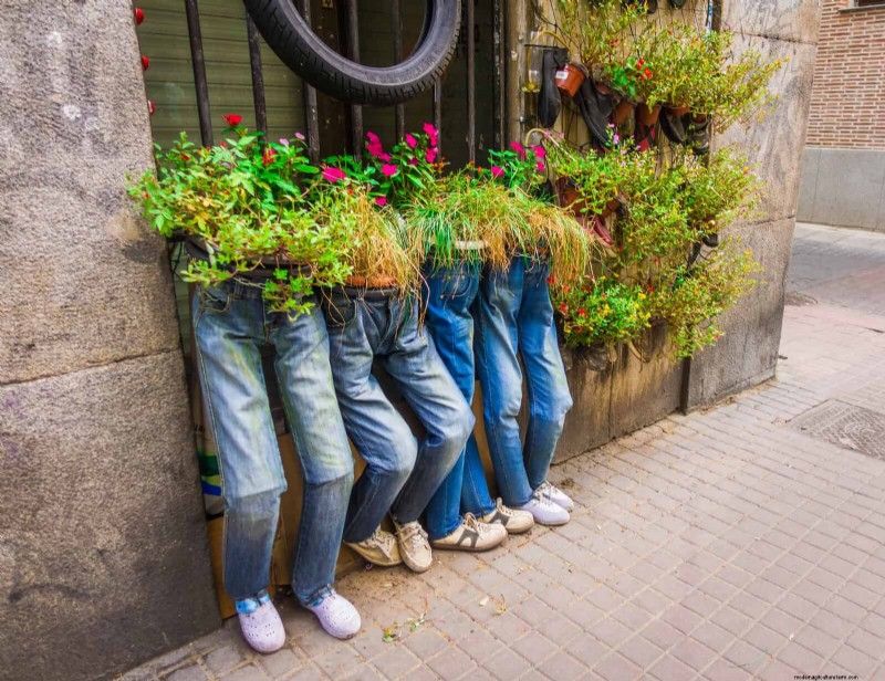 Container Plant Care: 22 Decorative Elements to Avoid
