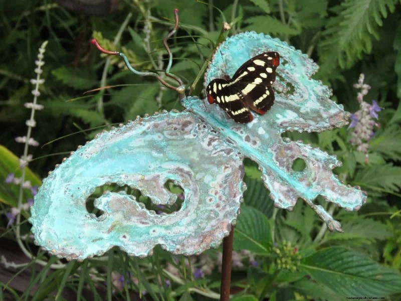 Container Plant Care: 22 Decorative Elements to Avoid