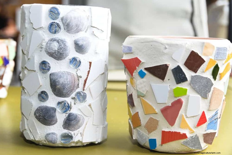 Container Plant Care: 22 Decorative Elements to Avoid