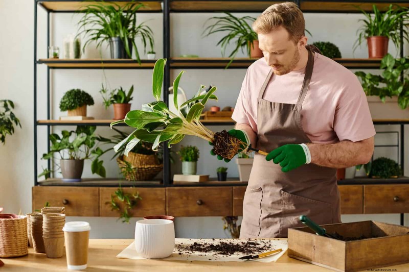 Container Plant Care: 22 Decorative Elements to Avoid