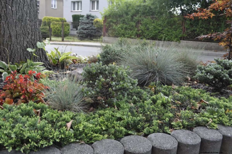 21 Signs Your Moisture-Loving Plants Need Repotting