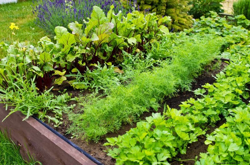 21 Signs Your Moisture-Loving Plants Need Repotting