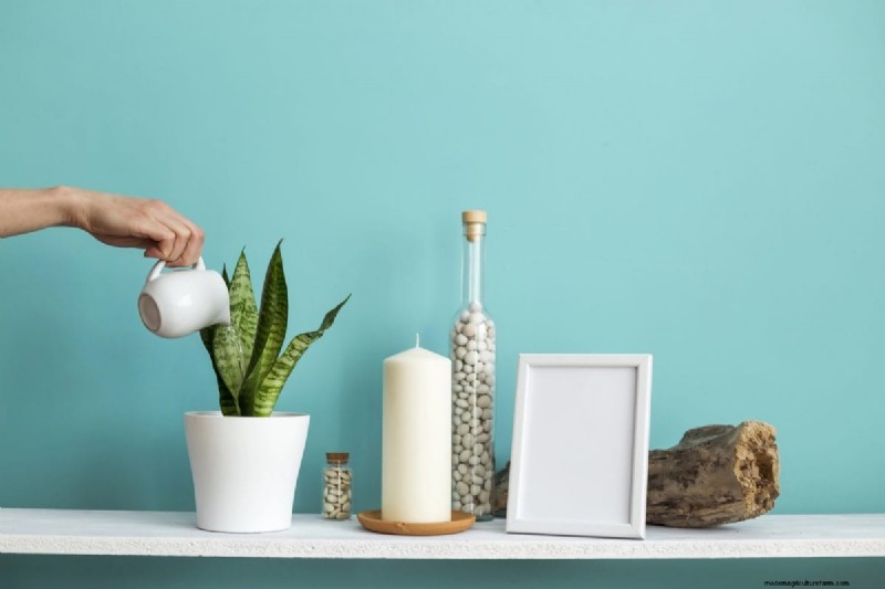 Indoor Plant Care: 25 Common Watering Mistakes to Avoid
