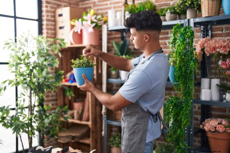 Indoor Plant Care: 25 Common Watering Mistakes to Avoid