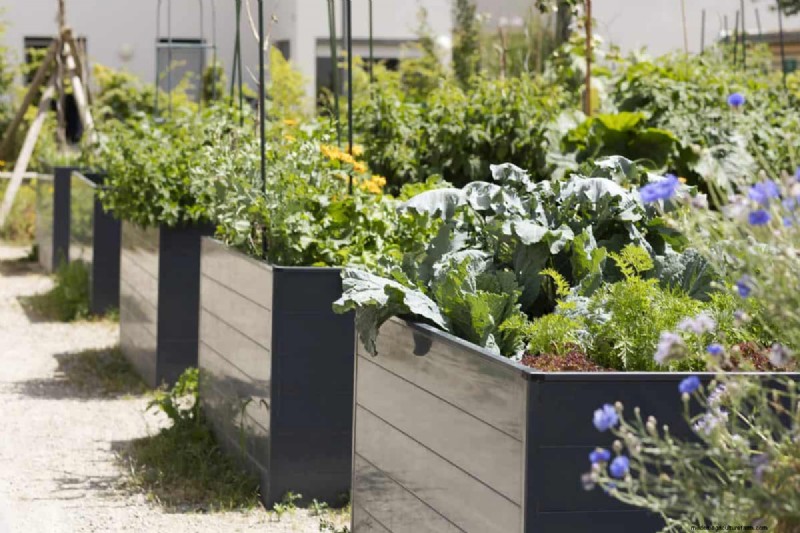 25 Creative Garden Border Ideas to Enhance Curb Appeal