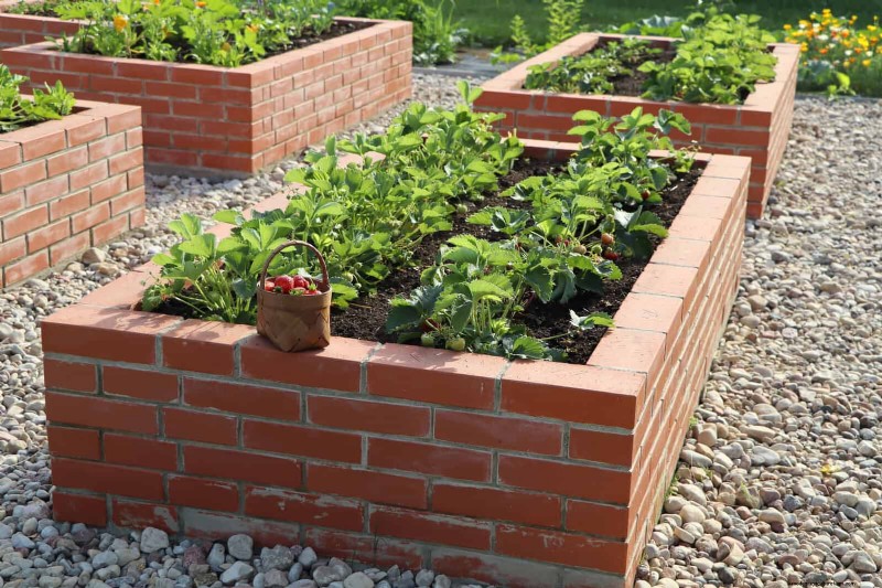 25 Creative Garden Border Ideas to Enhance Curb Appeal