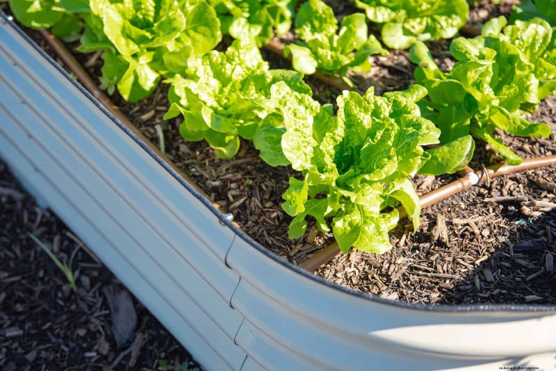25 Creative Garden Border Ideas to Enhance Curb Appeal