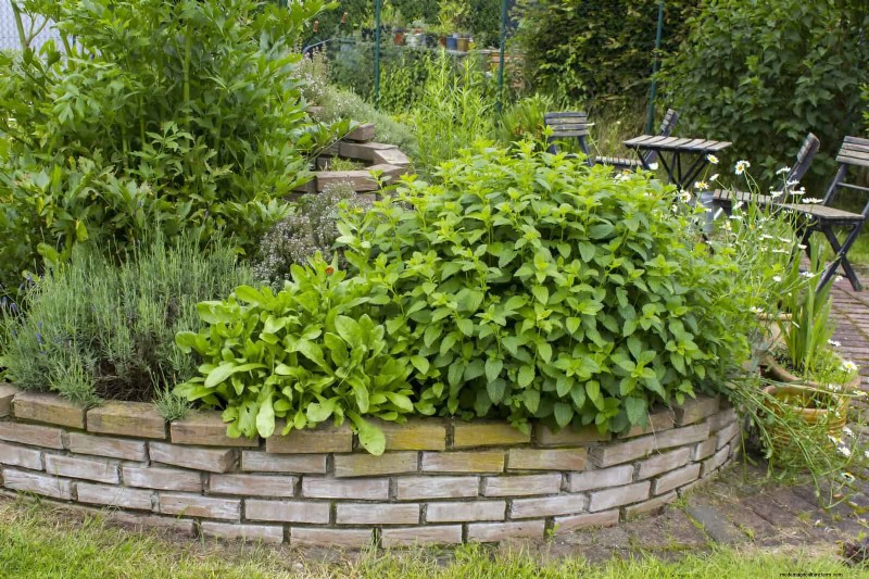 25 Creative Garden Border Ideas to Enhance Curb Appeal