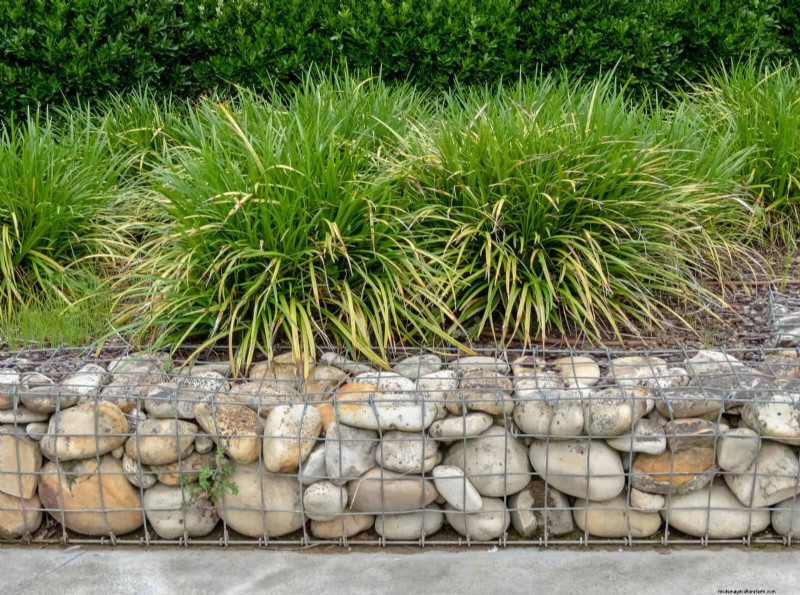 25 Creative Garden Border Ideas to Enhance Curb Appeal