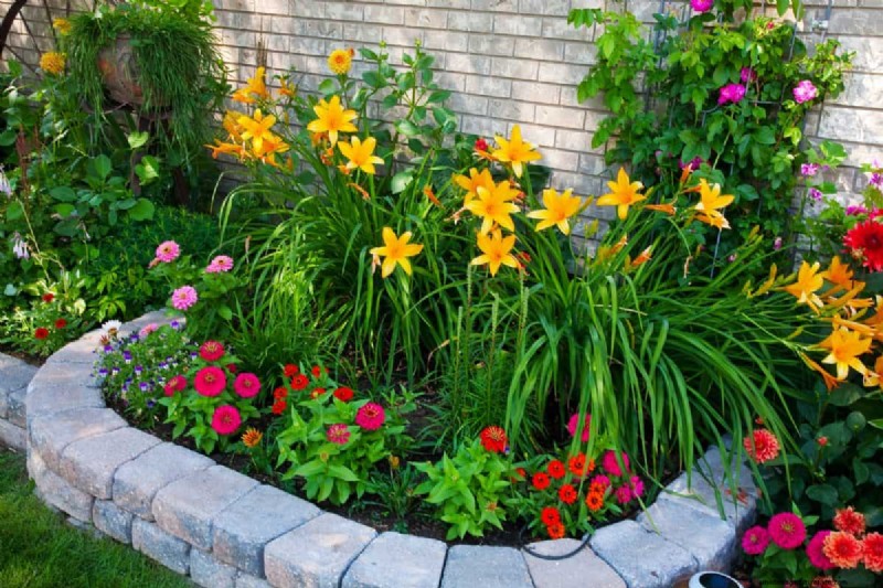 25 Creative Garden Border Ideas to Enhance Curb Appeal