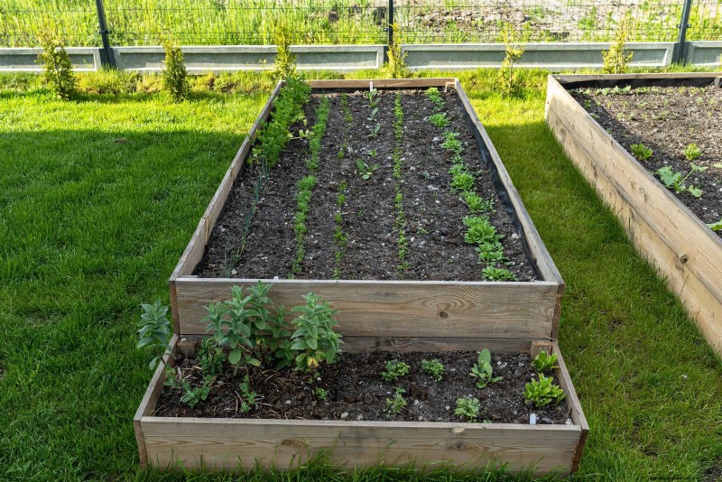 25 Creative Garden Border Ideas to Enhance Curb Appeal