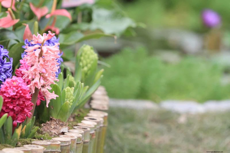 25 Creative Garden Border Ideas to Enhance Curb Appeal