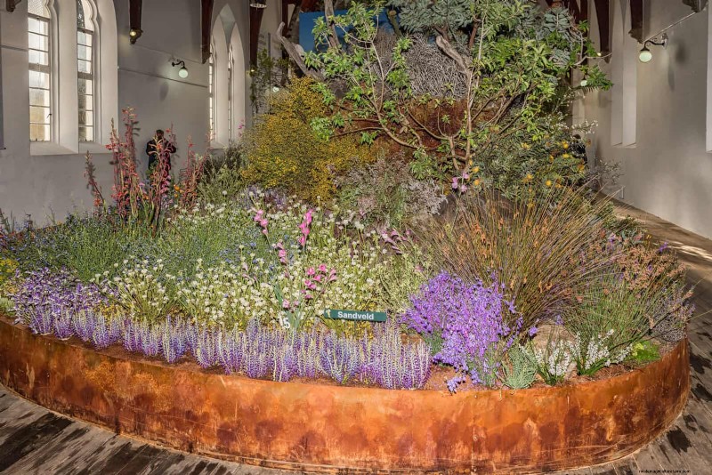 25 Creative Garden Border Ideas to Enhance Curb Appeal