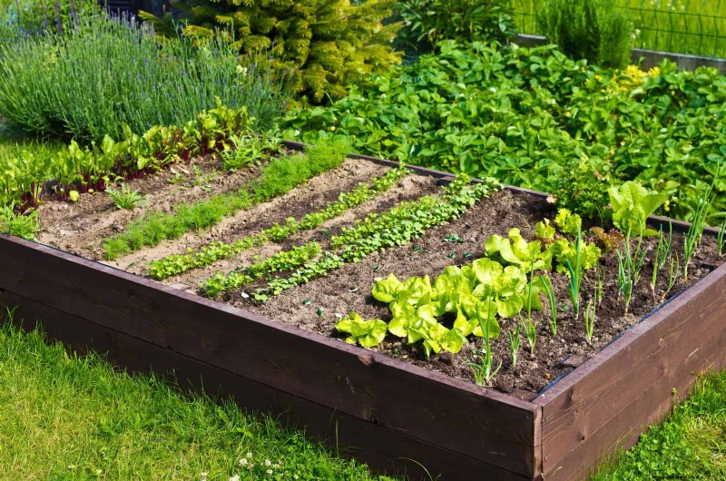 25 Creative Garden Border Ideas to Enhance Curb Appeal