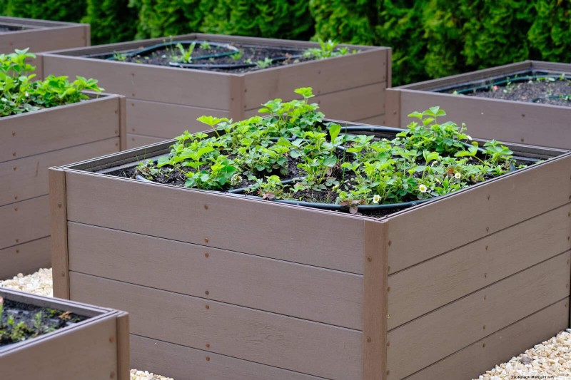 25 Creative Garden Border Ideas to Enhance Curb Appeal
